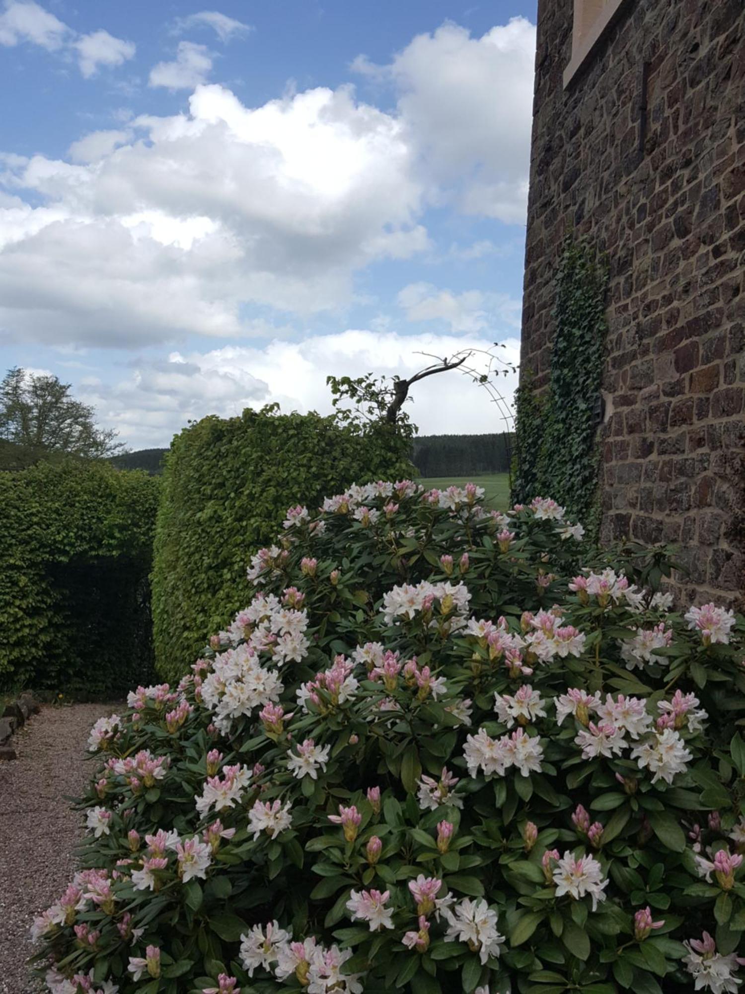 Vila Die Alte Schule Haeuschen St. Vith Pokoj fotografie